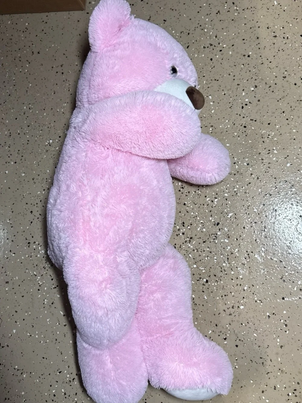 Pink Plush‎ Teddy Bear Soft Stuffed Animal
